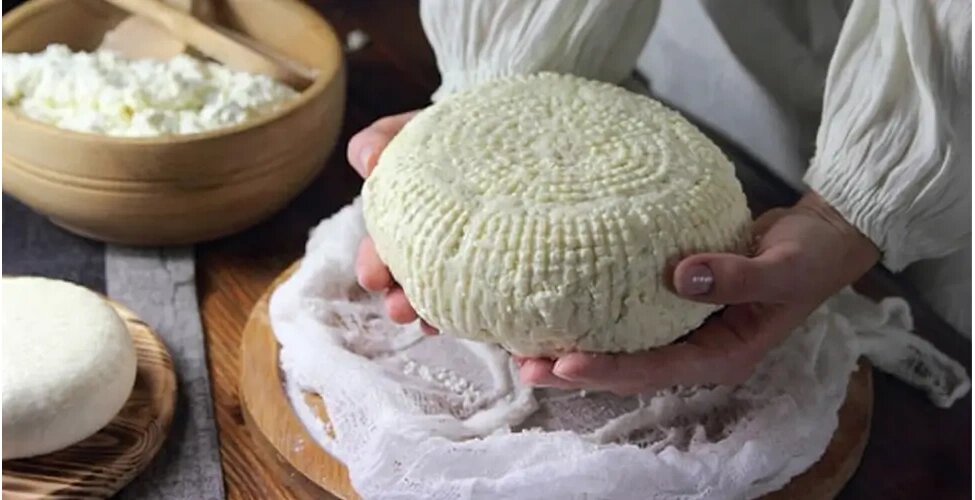 با این روش ساده در خانه پنیر خوشمزه درست کنید + روش تهیه پنیر خانگی فوری
