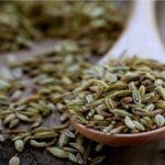 آیا «رازیانه» باعث افزایش شیرمادر می شود آیا «رازیانه» باعث افزایش شیرمادر می شود