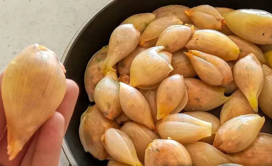دلمه پیاز مجلسی؛ این دستور پخت طعمش از همه دلمهها خاصتر است دلمه پیاز مجلسی؛ این دستور پخت طعمش از همه دلمهها خاصتر است
