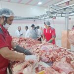 سختگیری جدید اروپا؛ فرصتی برای ارتقاء سلامت تولیدات دامی ایران سختگیری جدید اروپا؛ فرصتی برای ارتقاء سلامت تولیدات دامی ایران