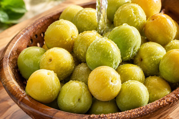 طرز تهیه رب آلوچه خانگی طرز تهیه رب آلوچه خانگی