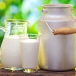 ناگفتههایی از ماندگاری شیرهای پاکتی؛ هشدار متخصص تغذیه ناگفتههایی از ماندگاری شیرهای پاکتی؛ هشدار متخصص تغذیه