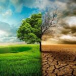 زنگ خطر النینو برای اقتصاد جهان؛ شرکتهای بزرگ در آمادهباش زنگ خطر النینو برای اقتصاد جهان؛ شرکتهای بزرگ در آمادهباش
