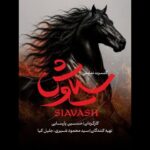 «سیاوش» به هیچ نهادی وابسته نیست؛ هزینه‌ها کاملا شخصی است!