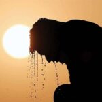 موج گرمای بیسابقه ۳ میلیارد یورو خسارت روی دست اروپا گذاشت موج گرمای بیسابقه ۳ میلیارد یورو خسارت روی دست اروپا گذاشت