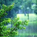 هشدار درباره «توهم ترسالی»/40 میلیون ایرانی در مناطق کم بارش هشدار درباره «توهم ترسالی»/40 میلیون ایرانی در مناطق کم بارش
