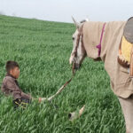 کوبیدن سیلی واقعیت برصورت رویا؛ سینمای مستند از مساله اکران رنج میبرد کوبیدن سیلی واقعیت برصورت رویا؛ سینمای مستند از مساله اکران رنج میبرد