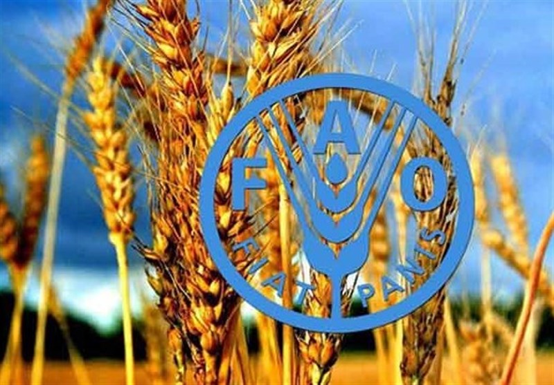افزایش 2 درصدی قیمت جهانی مواد غذایی در سایه جنگ علیه ایران