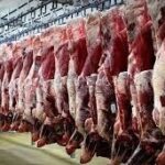 افزایش عرضه و ثبات نسبی بازار گوشت در پاییز افزایش عرضه و ثبات نسبی بازار گوشت در پاییز