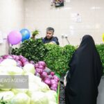 الزامات سبزی خوردن بستهبندی اعلام شد الزامات سبزی خوردن بستهبندی اعلام شد