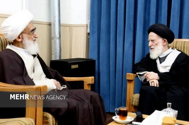 برگزاری بزرگداشت آیتالله شبیریزنجانی از سوی آیتالله نوریهمدانی
