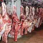 تاکنون مجوز عرضه گوشت اسب و الاغ صادر نشده تاکنون مجوز عرضه گوشت اسب و الاغ صادر نشده