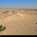 تصویب پیشنهادات ایران در کنوانسیون مقابله با بیابان زایی تصویب پیشنهادات ایران در کنوانسیون مقابله با بیابان زایی