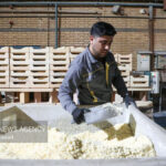 رونمایی از ۲ کاتالیست استراتژیک صنعت نفت و گاز رونمایی از ۲ کاتالیست استراتژیک صنعت نفت و گاز