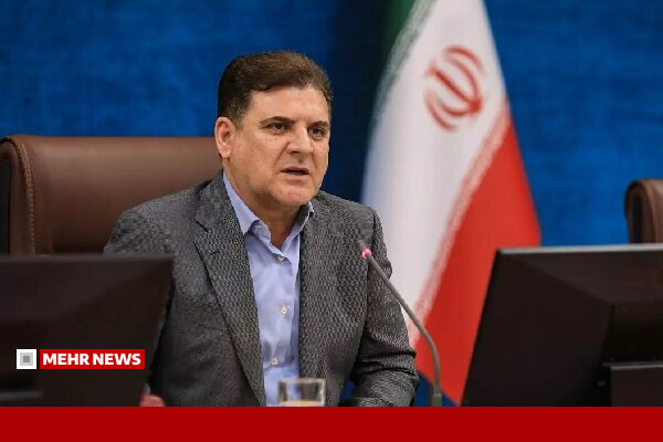زینی وند: میل مشارکت جوانان در تشکل های سیاسی و اجتماعی کاهش یافته است