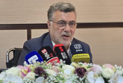 ظفرقندی: مسئله جمعیت فقط موضوع وزارت بهداشت نیست