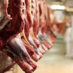 واردات گوشت قرمز با وجود محاصره تنگه هرمز ادامه دارد واردات گوشت قرمز با وجود محاصره تنگه هرمز ادامه دارد