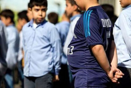 ۲۵ درصد دانش‌آموزان دچار اضافه‌وزن و چاقی هستند