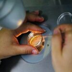 فریز تخمک برای همه زنان مناسب نیست فریز تخمک برای همه زنان مناسب نیست